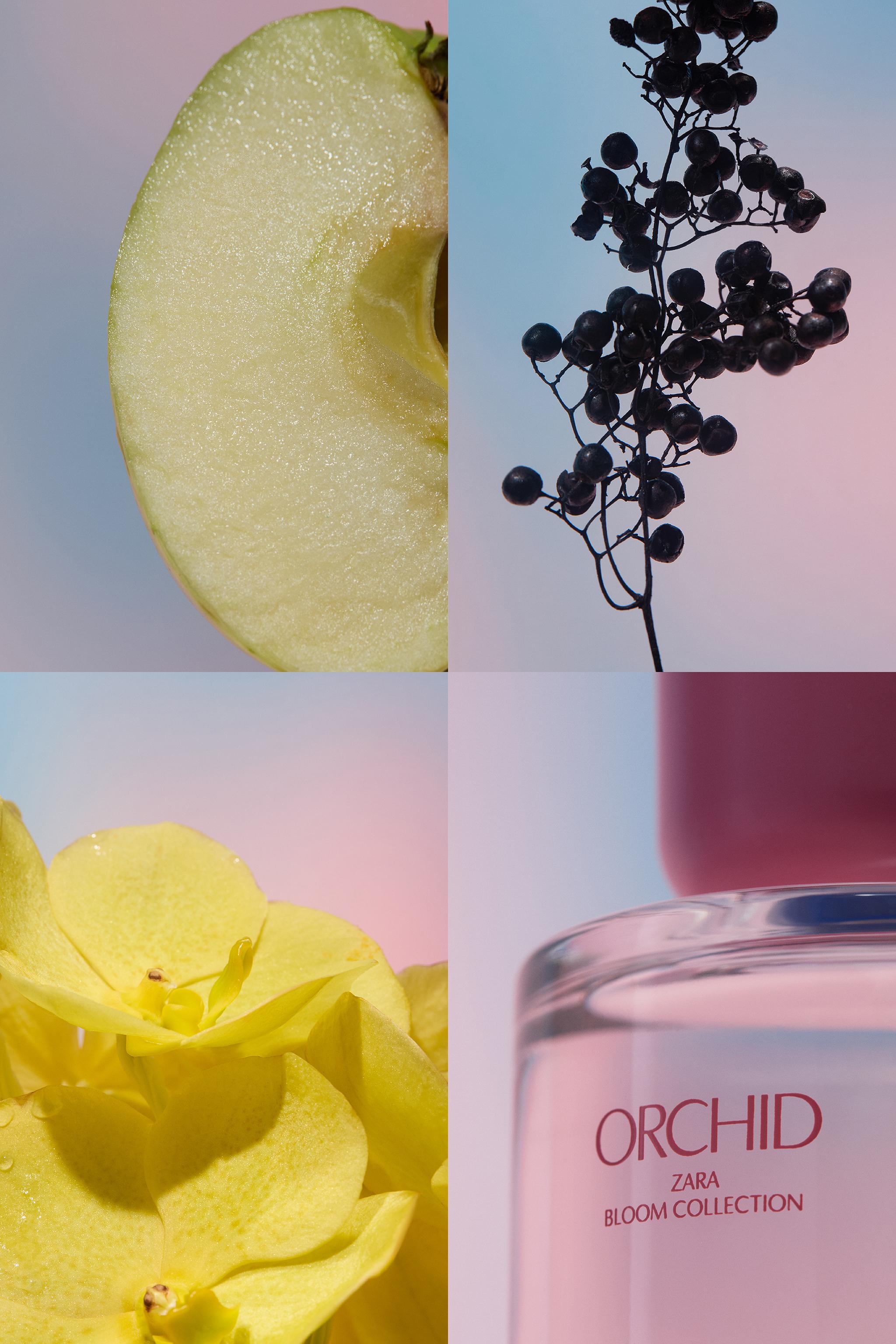 ORCHID EDP 90ML TINTED LEATHER ZARA Chile